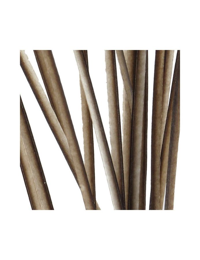 Quill de Paon