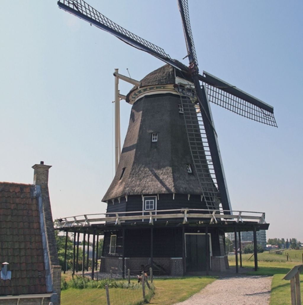 Zwarte houten meelmolen met rieten kap en wieken onder een heldere blauwe lucht