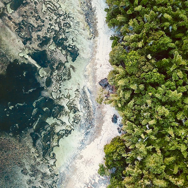 A living tapestry of heritage  and ecology