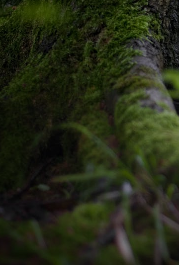 Mobile featured image