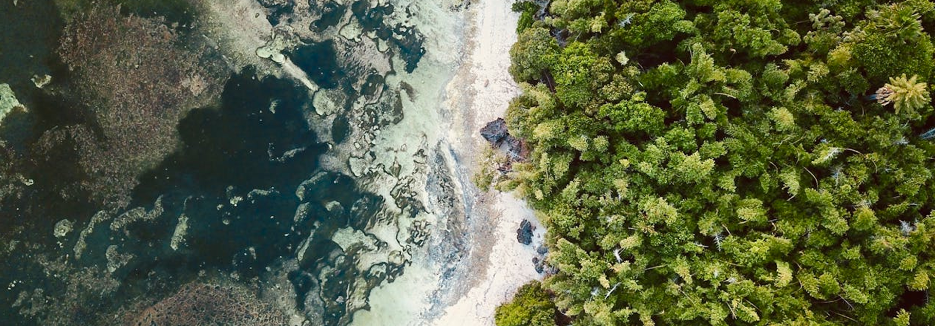 A living tapestry of heritage  and ecology