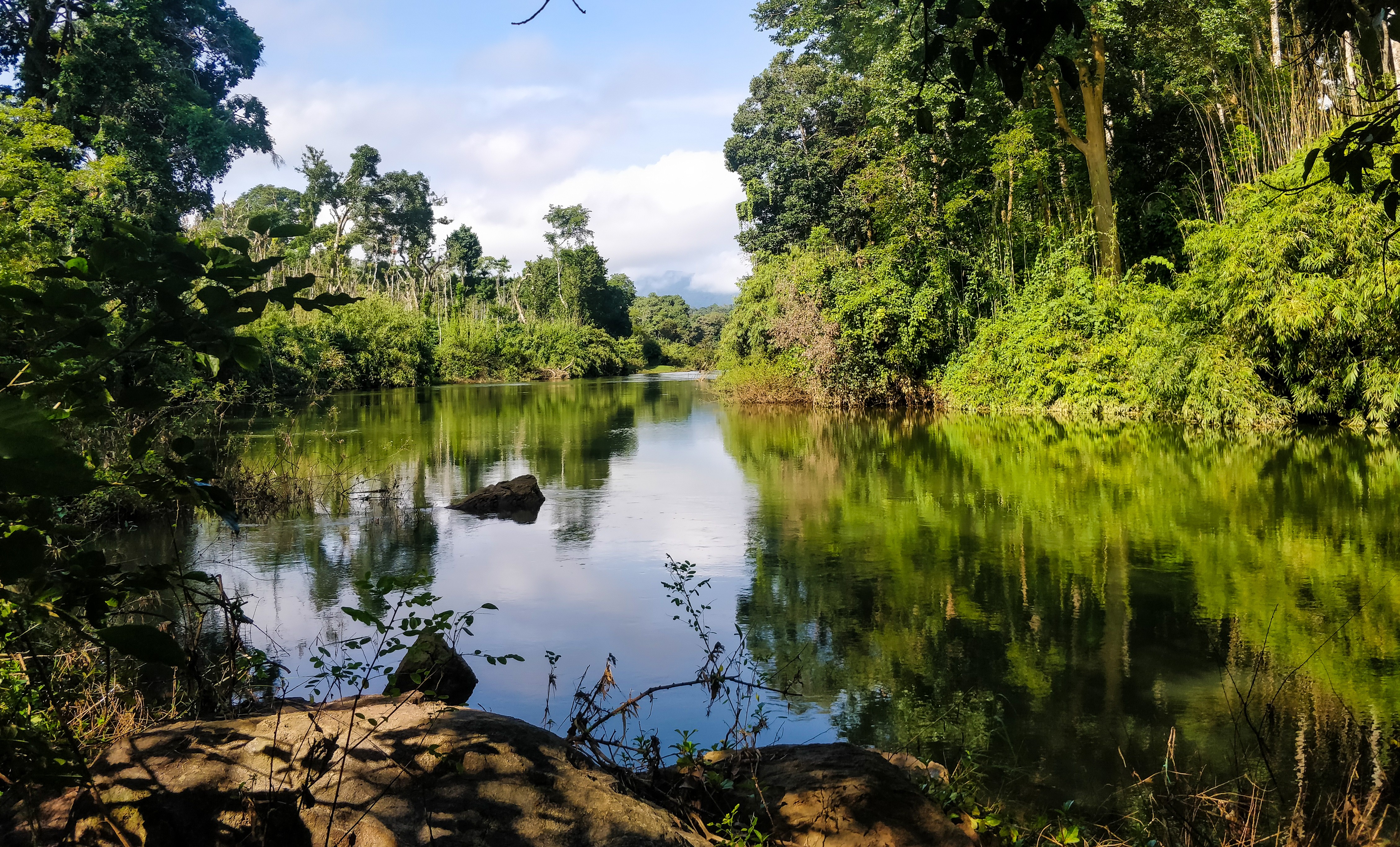 A living tapestry of heritage and ecology