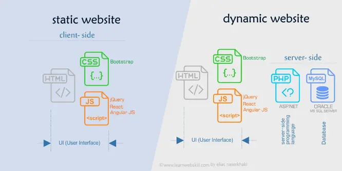 Cover image for post titled Wordpress vs Static Websites: A Comparison for Small Business Websites