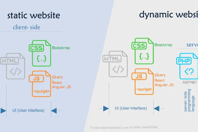 Cover image for post titled Wordpress vs Static Websites: A Comparison for Small Business Websites