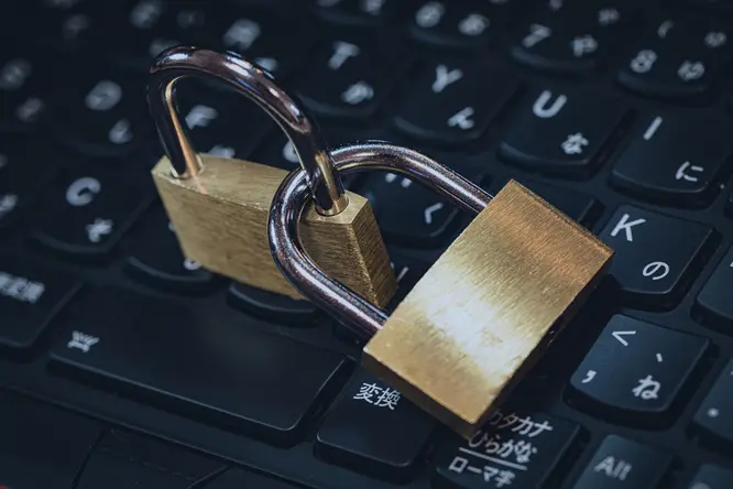 Cover image for post titled Why WordPress Can Be a Security Nightmare