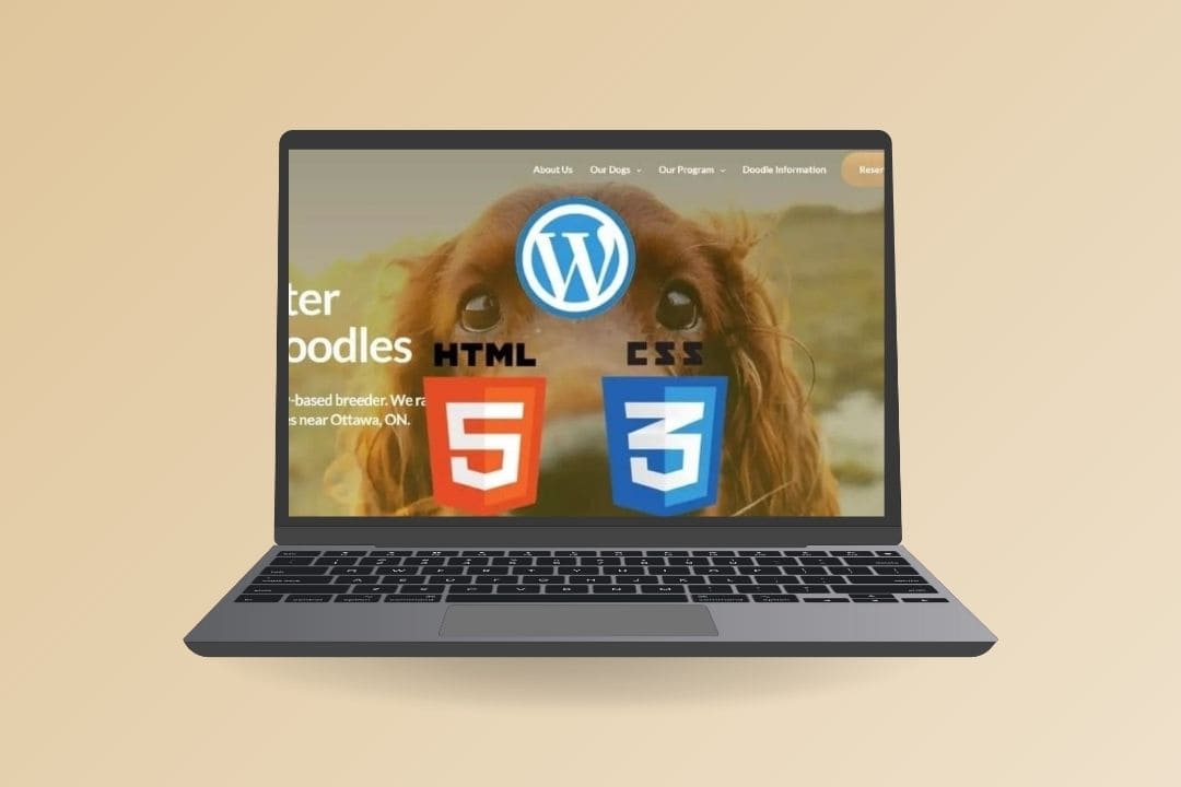 Screenshot of the website Munster Irishdoodles