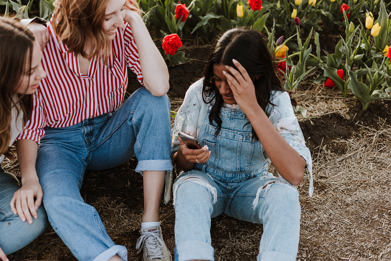 People sitting together outdoors in a garden with blooming tulips