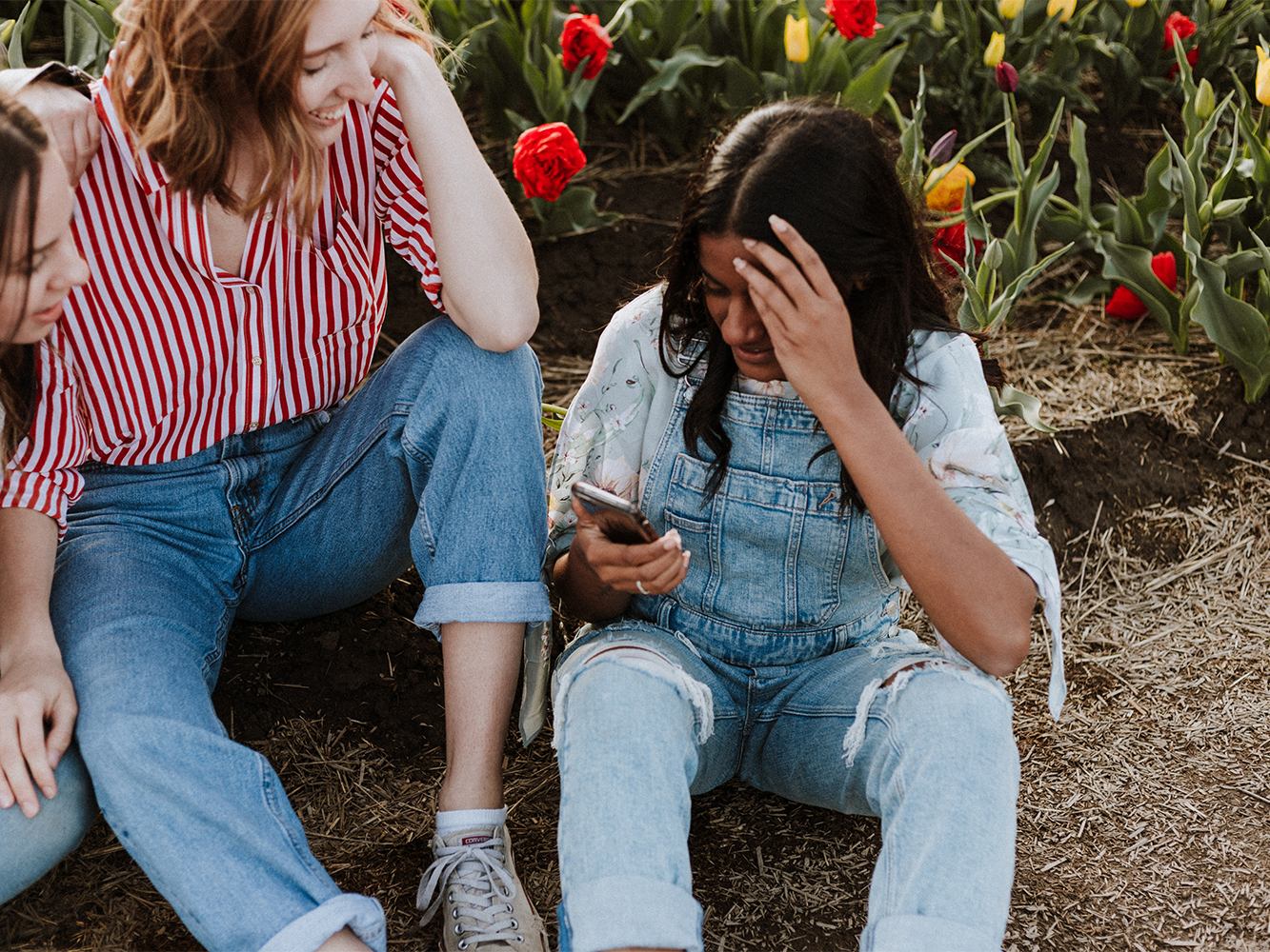 People sitting together outdoors in a garden with blooming tulips