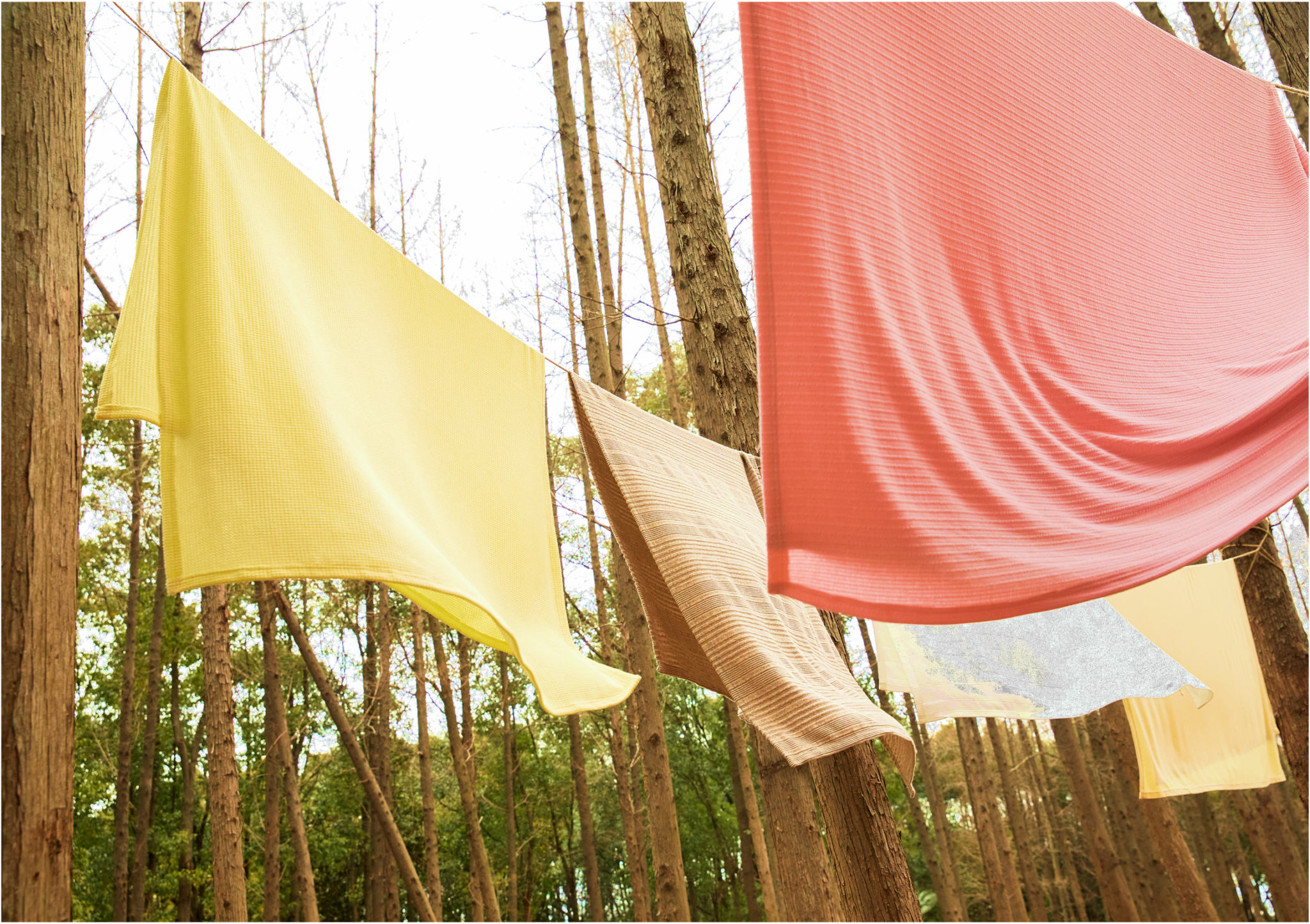 Colorful fabrics hanging on a clothesline outdoors among tall trees