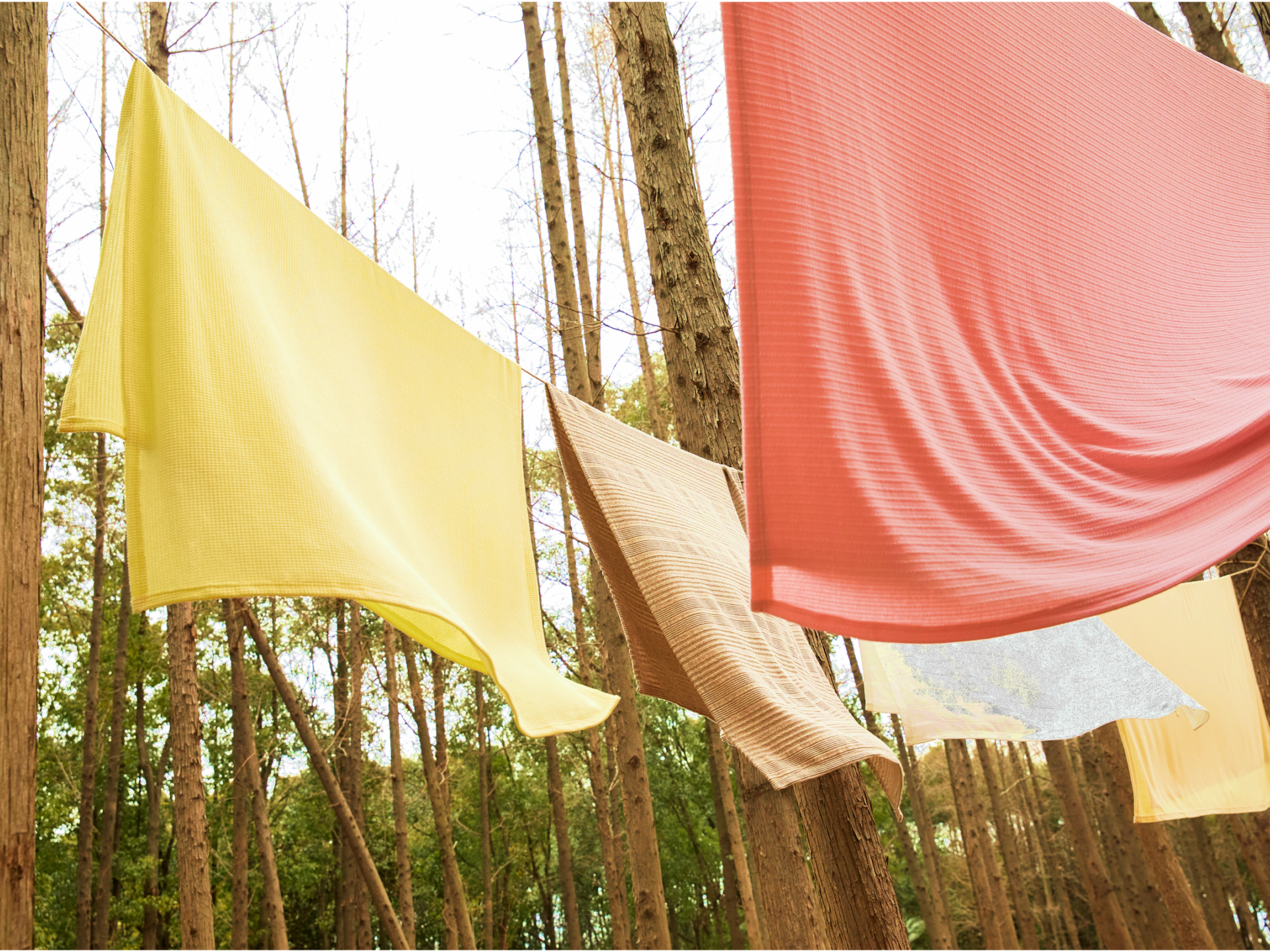 Colorful fabrics hanging on a clothesline outdoors among tall trees