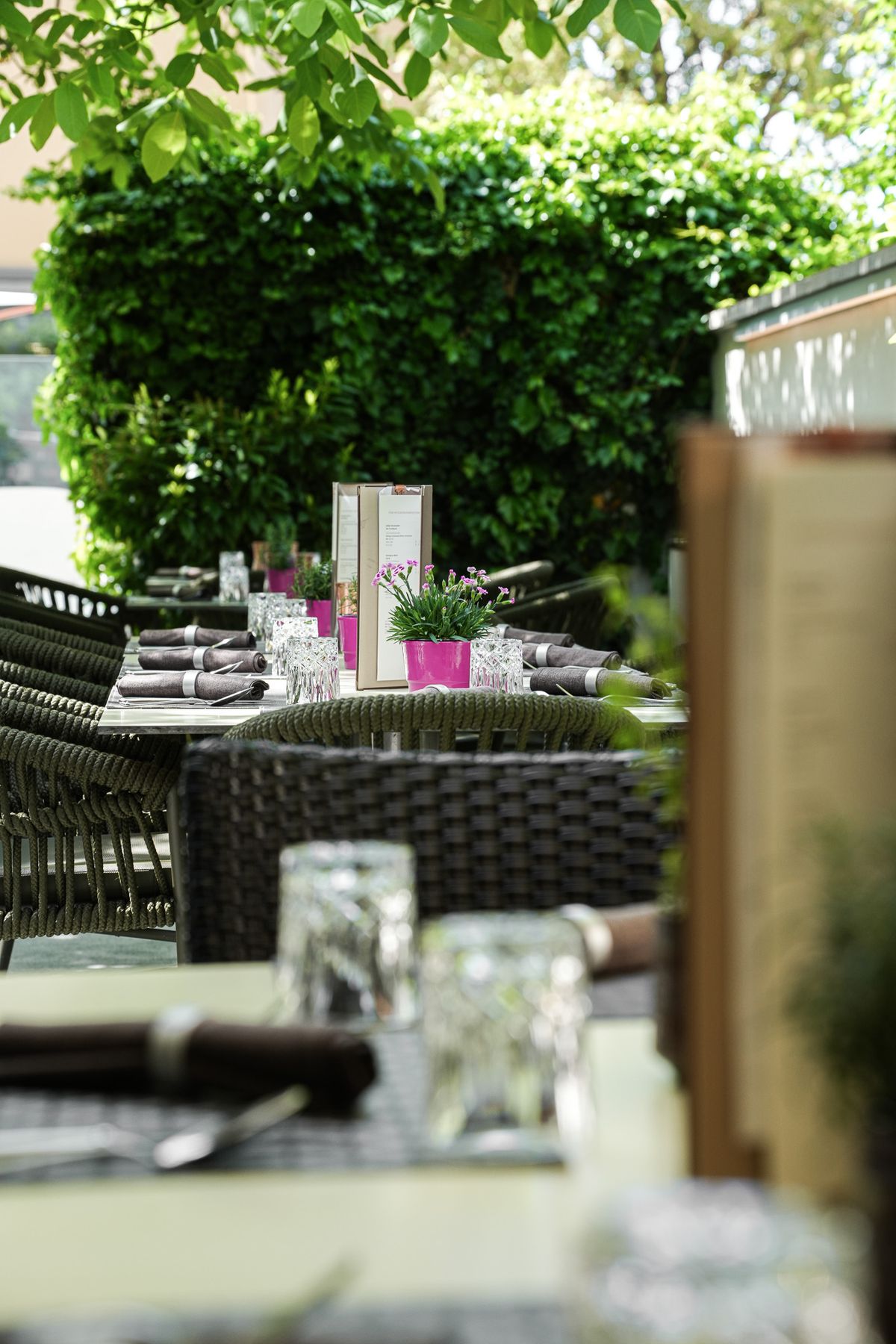 Schattiger Gastgarten des Restaurant Fischer in Marchtrenk mit gedeckten Tischen und Sitzplätzen unter dem Nussbaum.