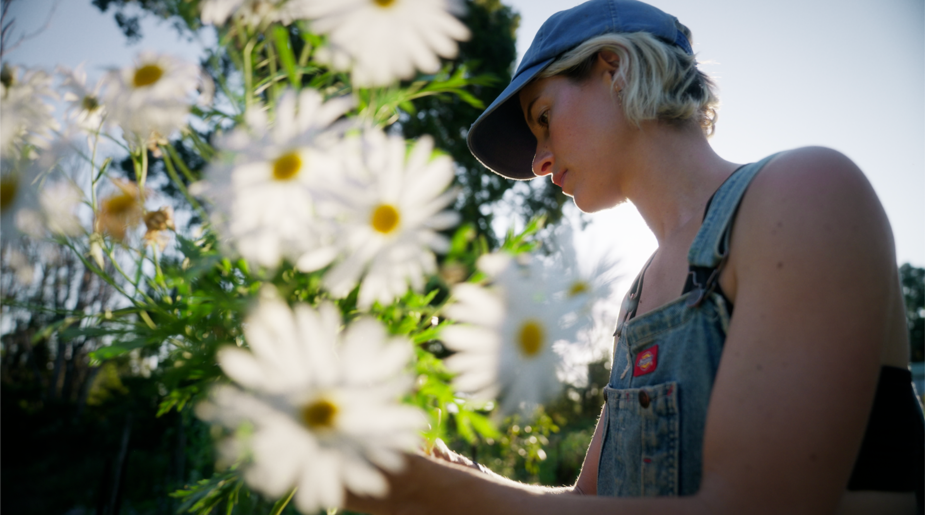luens-flowers-poster
