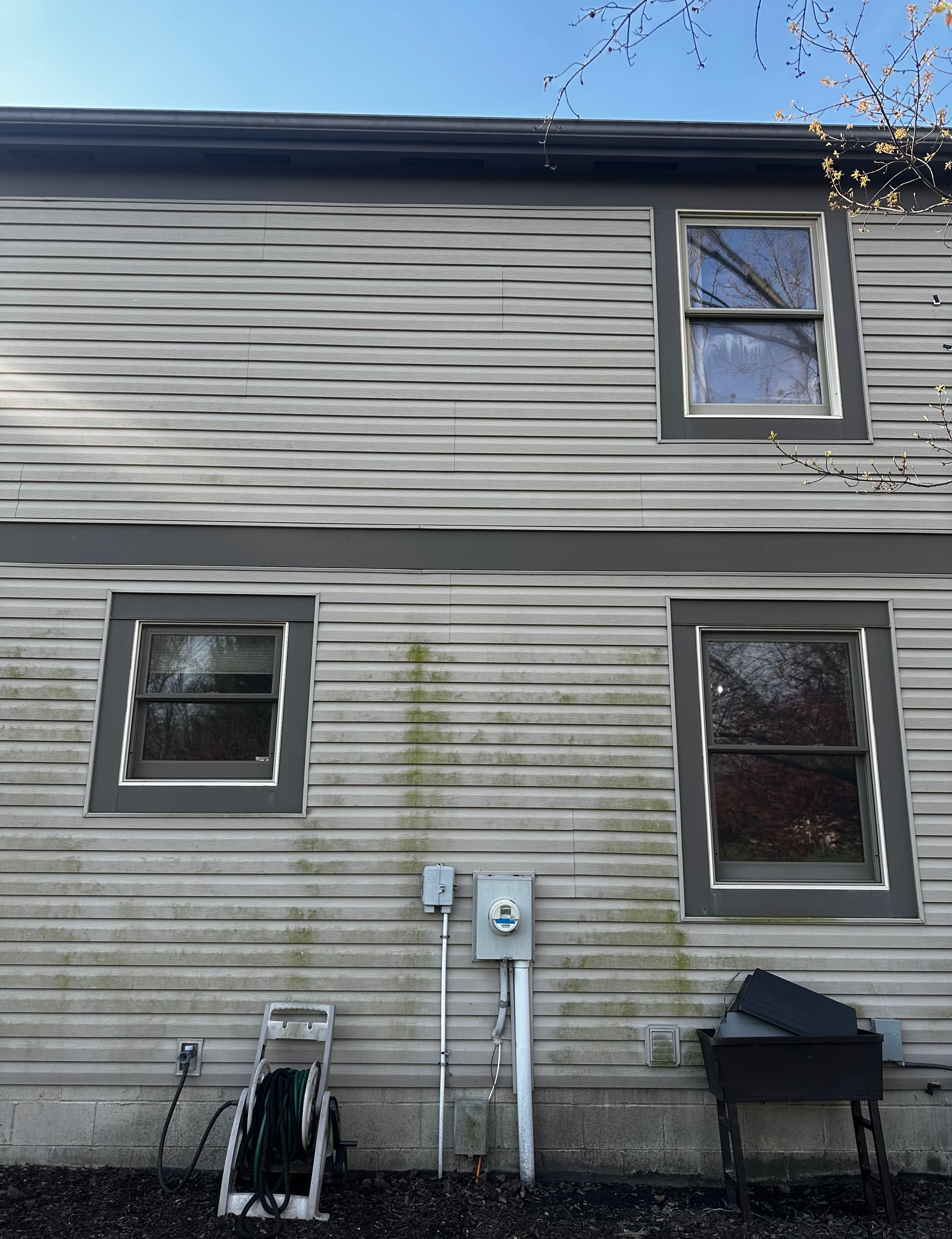 Before House Wash