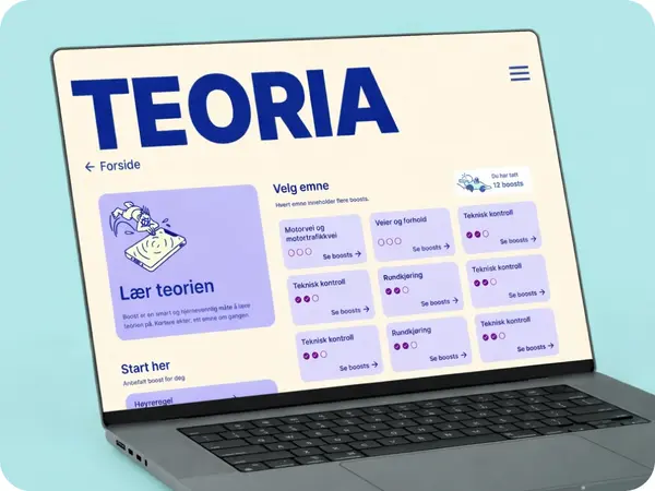 Teoria on a computer.
