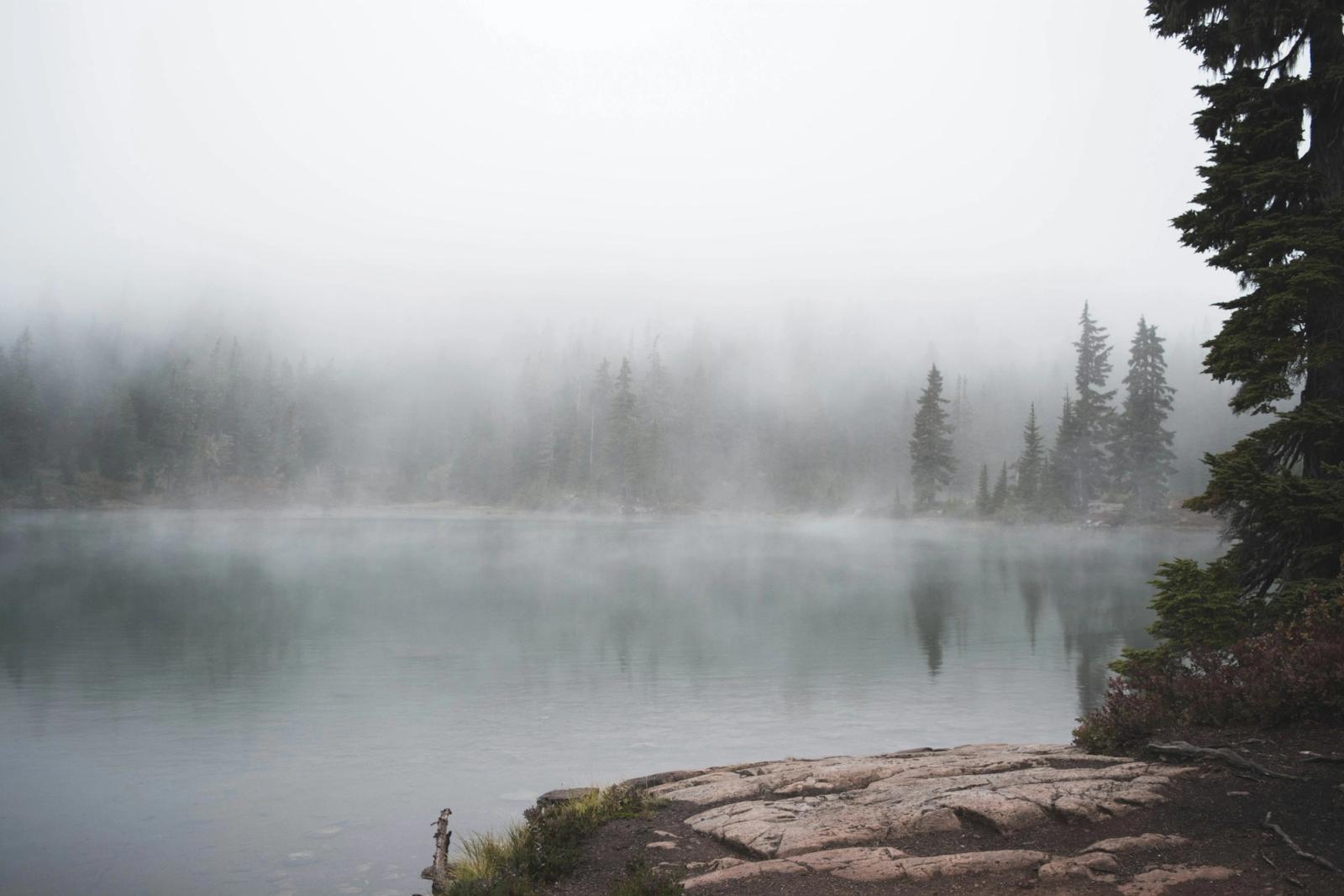 Still water at dawn