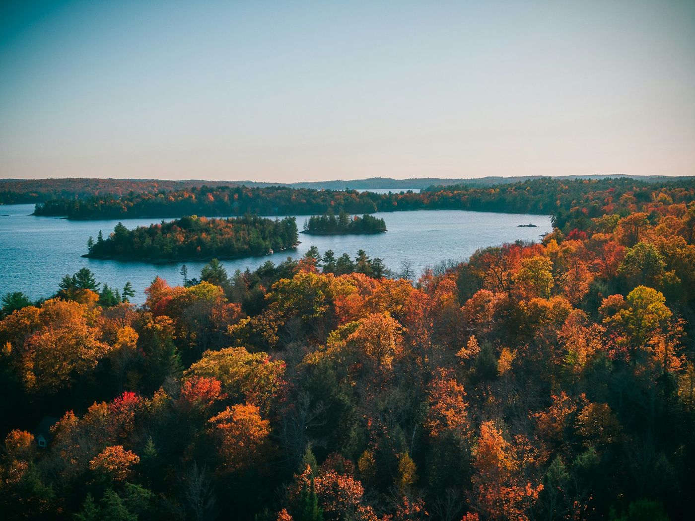 Green and brown trees near a body of water in Northern Ontario, the landscape where Krystal Price conducts archaeological field monitoring