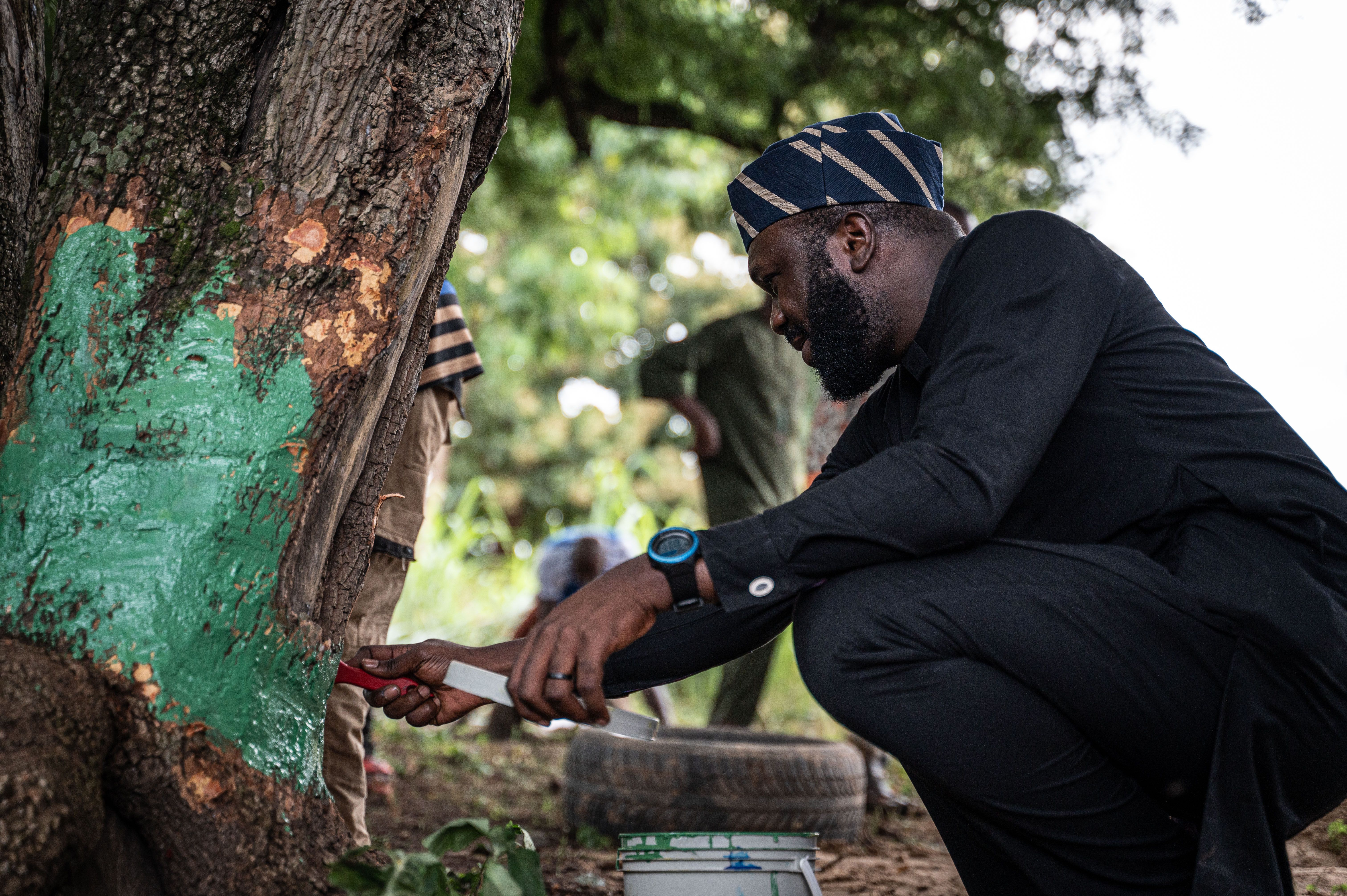 Apochi painting a tree
