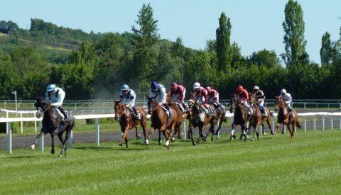 Spring Racing Carnival Breeds Growth for Affiliates - Digital Fuel Marketing Spring Racing Carnival Breeds Growth for Affiliates - Digital Fuel Marketing