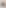 Ungrammatical Anatomy by undefined, 2024