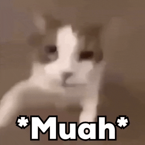 Cat Meme