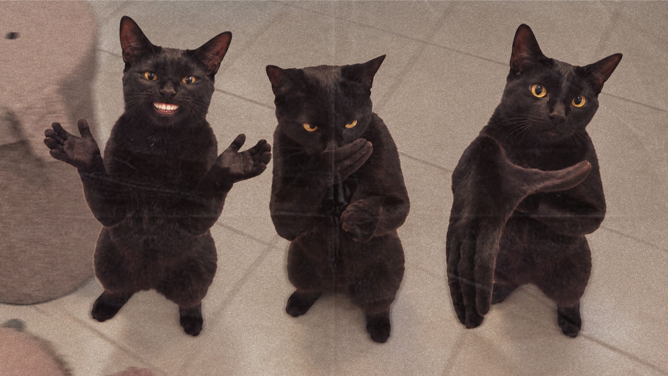 Grinning Clapping Cat Got 18.7M+ People Shushed Them Away