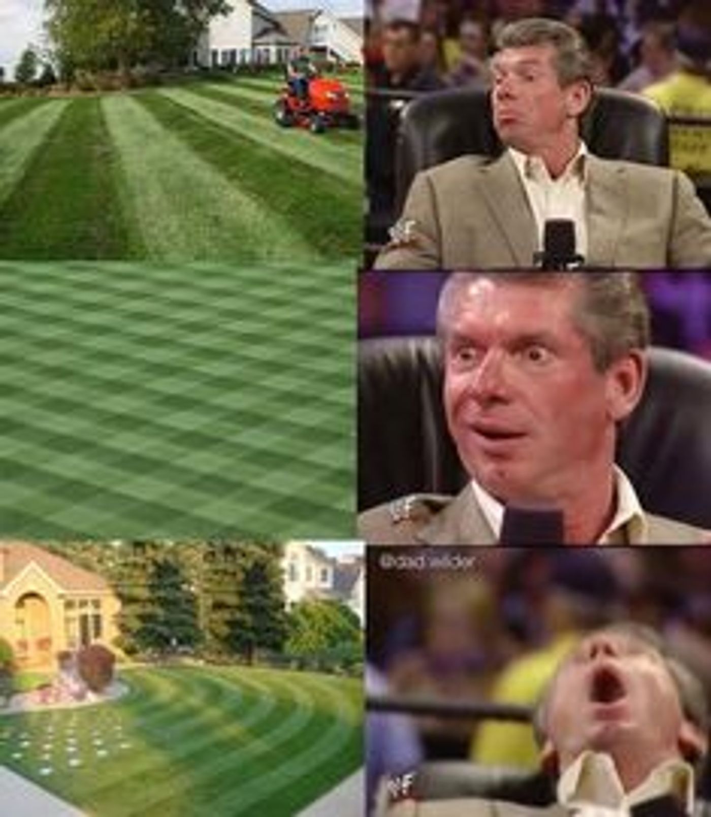 Meme