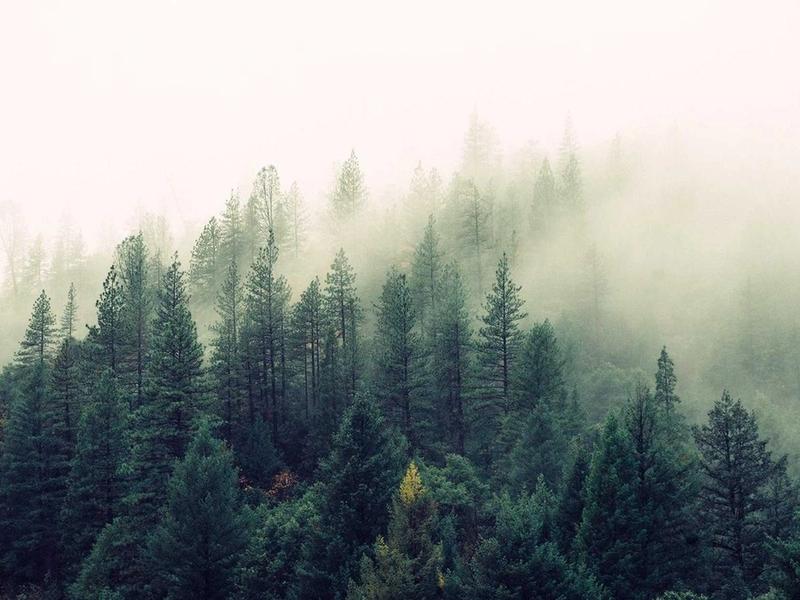 100+ Hook Templates for Social Media