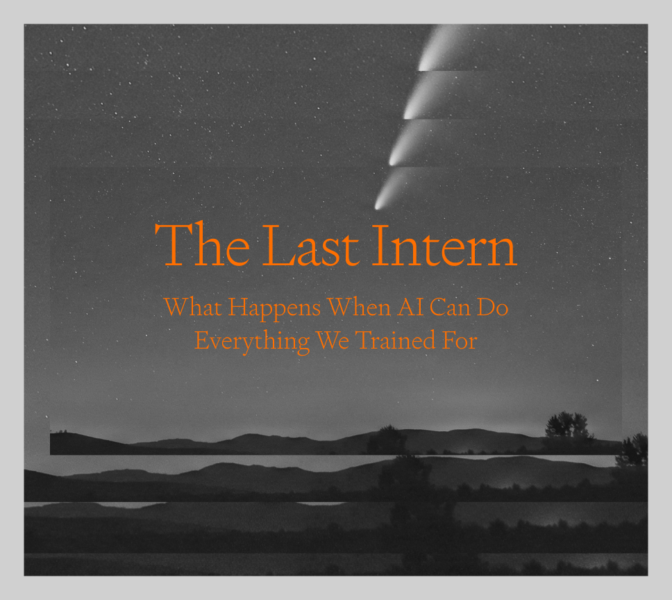 The Last Intern