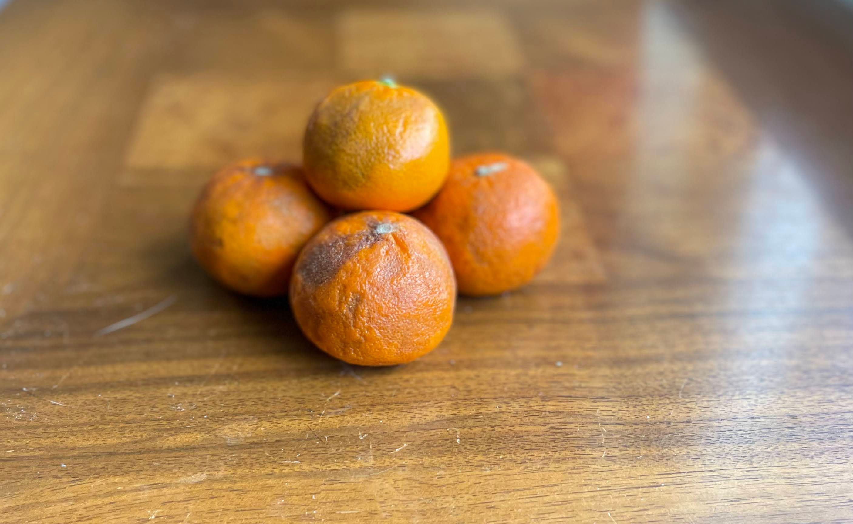 Four manky tangerines