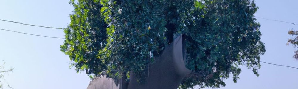 A combination of an elephant and a tree. The trunk looks like an elephant except for the head, and the foliage resembles the shape of an elephant head.