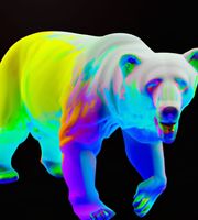 A brightly colored bear