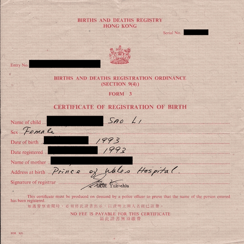 I was born in Hong Kong to Viet refugee parents