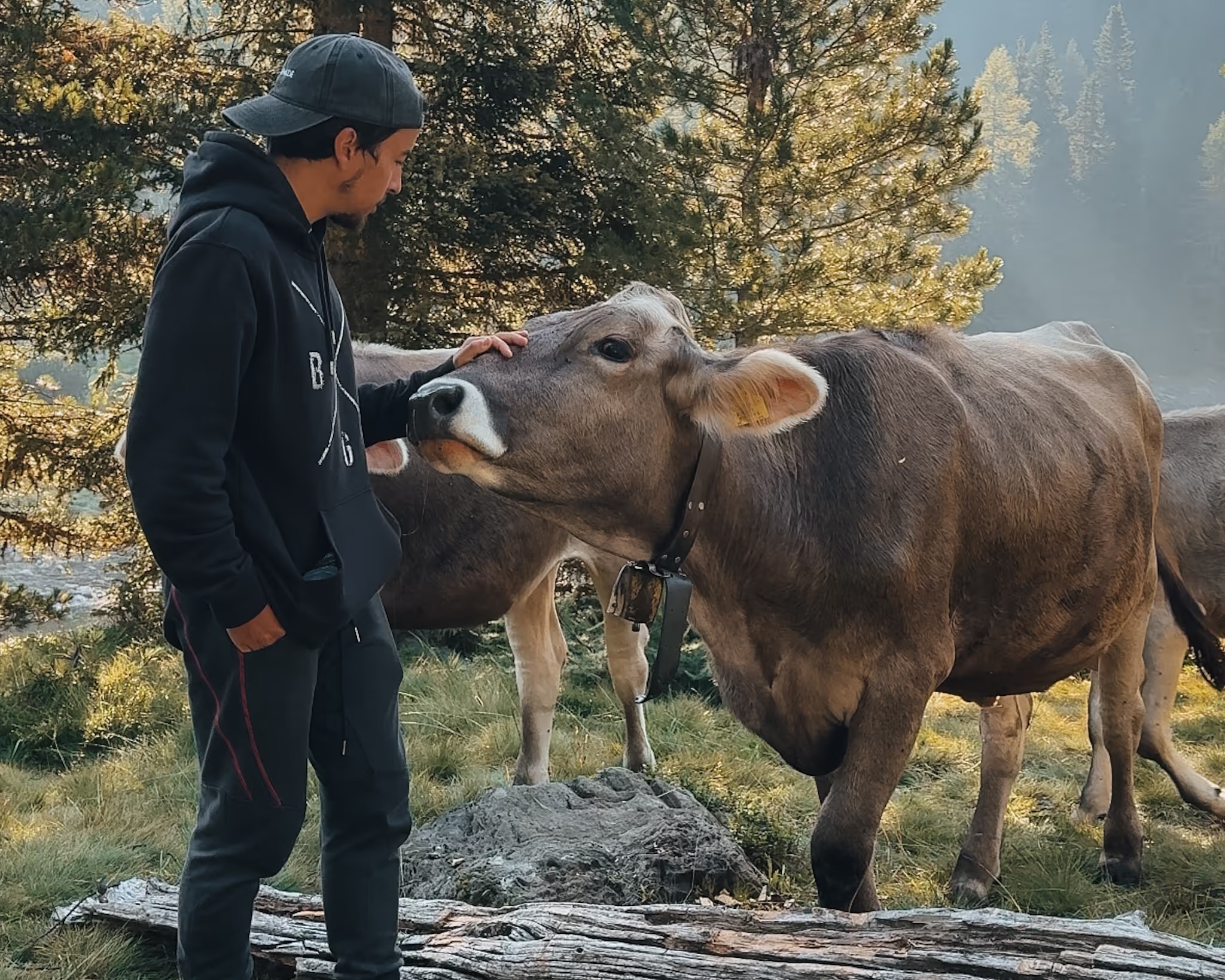 Tristan als Kind mit einer Kuh auf dem Bauernhof