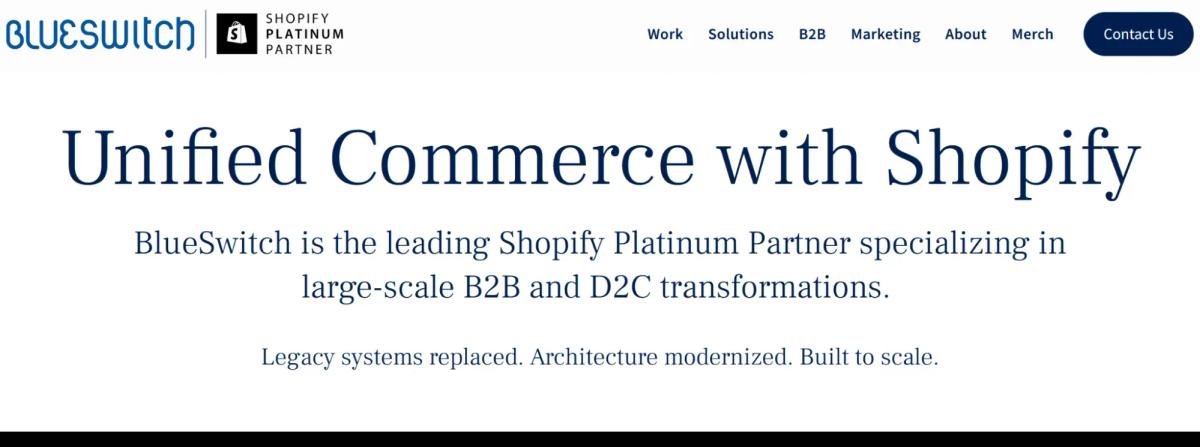 NYC’s Ecommerce Marketing Agency - BlueSwitch