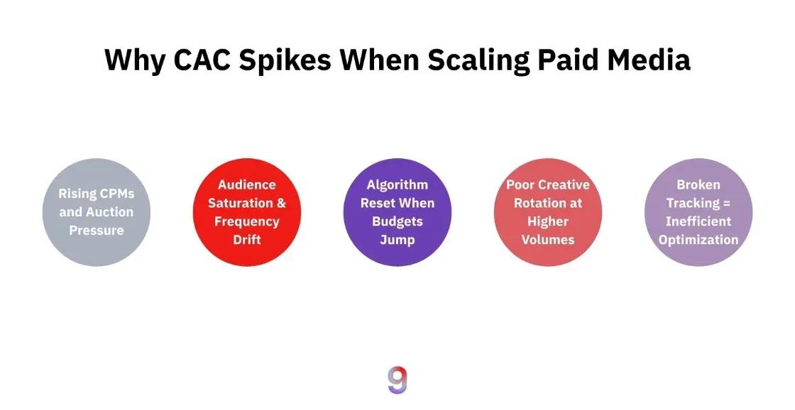 Slide titled “Why CAC Spikes When Scaling Paid Media” with five colored circles listing causes: Rising CPMs and auction pressure, Audience saturation & frequency drift, Algorithm reset when budgets jump, Poor creative rotation at higher volumes, and Broken tracking = inefficient optimization.