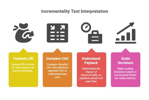 Infographic explaining how to interpret incrementality tests in marketing, highlighting four steps: evaluate lift in real revenue, compare CAC using blended vs reported cost, understand payback impact on cash flow, and scale decisions based on incremental ROAS rather than vanity metrics.