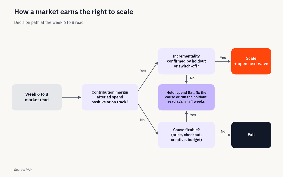 Decision flow at the week 6 to 8 read: margin and incrementality checks lead to scale, hold or exit