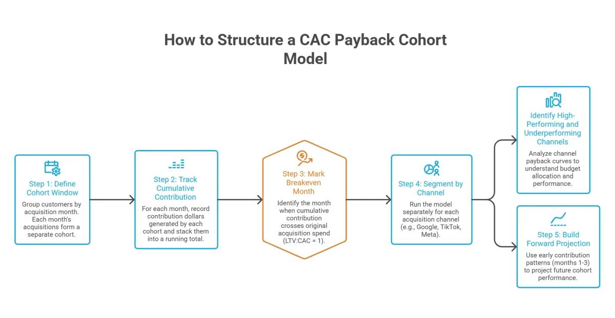 Infographic explaining CAC payback cohort modeling, including defining cohorts, tracking cumulative contribution, identifying breakeven month, segmenting by channel, and forecasting performance.