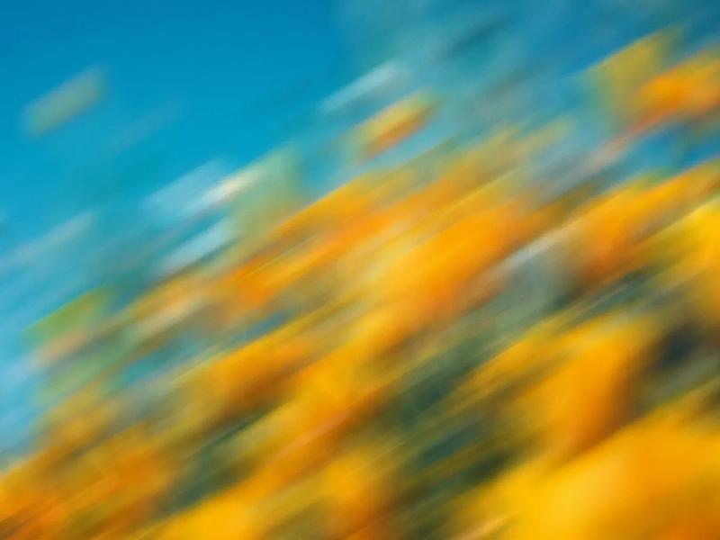 Why AI governance should be your first priority