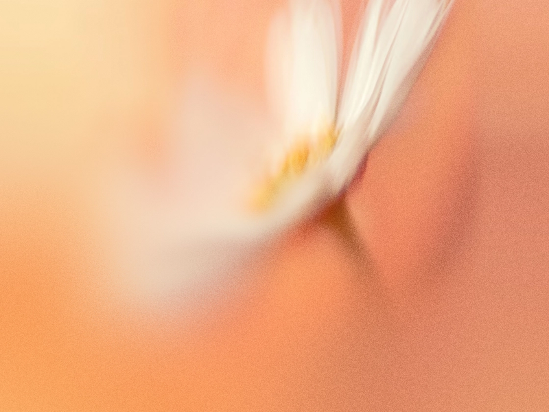 5 signs your organization is ready for AI automation