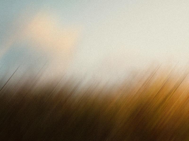 Why Fortune 500 Companies Are One Audit Away From an AI Revolution