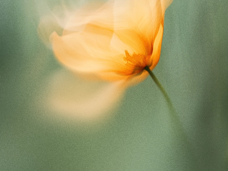 Introducing the AI readiness assessment