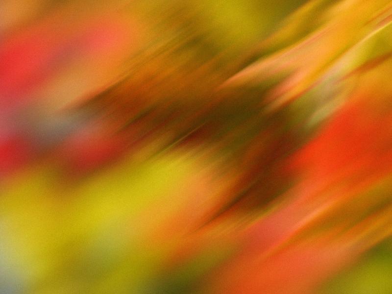 Moltbook's Hidden Promise: How One Platform Could Reshape Human Connection and Knowledge