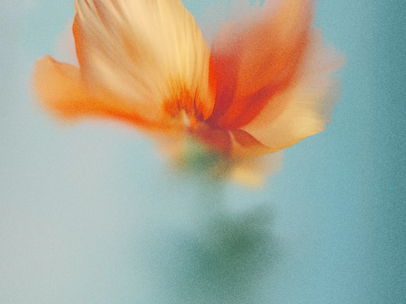 The real cost of waiting on AI implementation