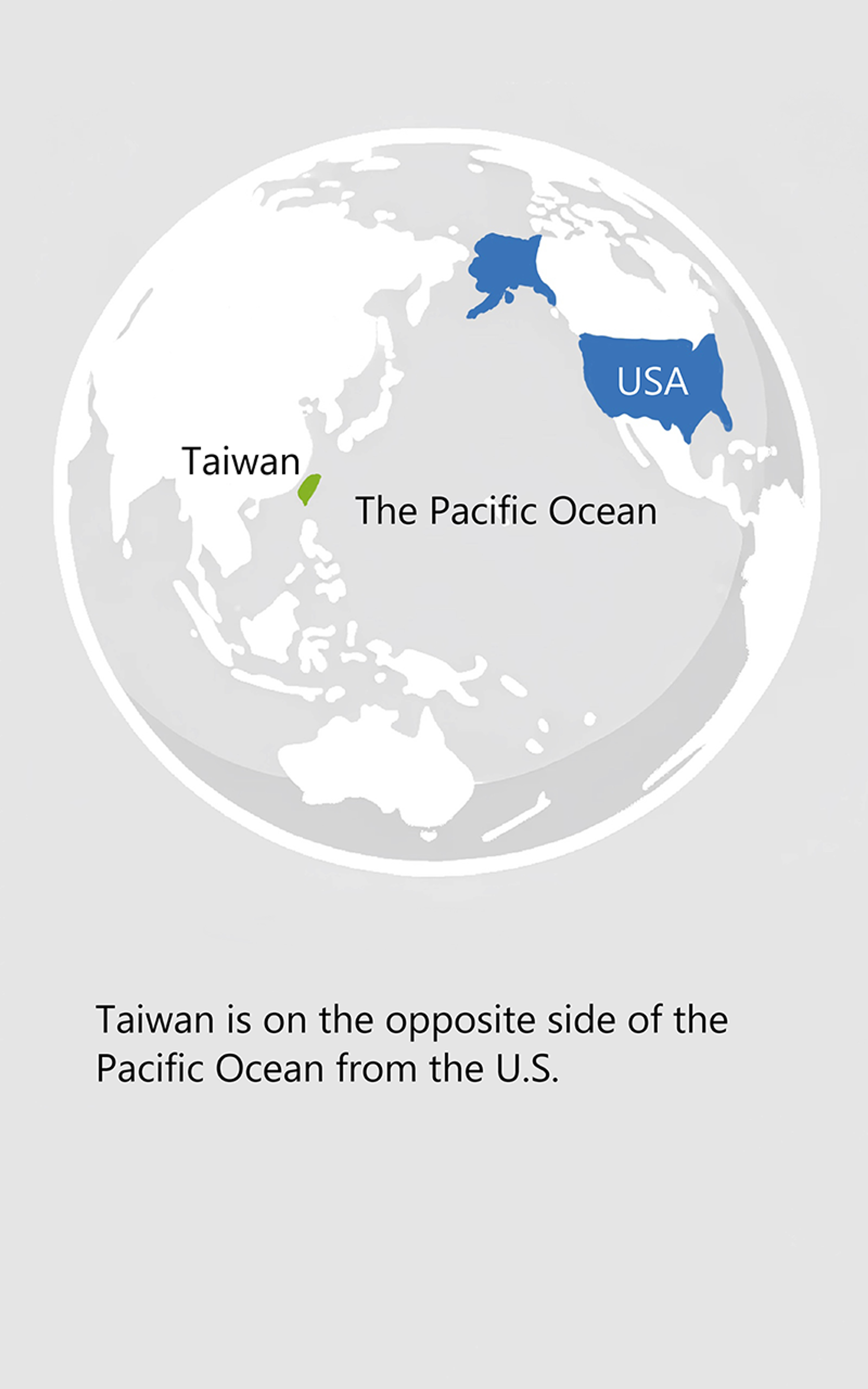 the-butterfly-hunter-103