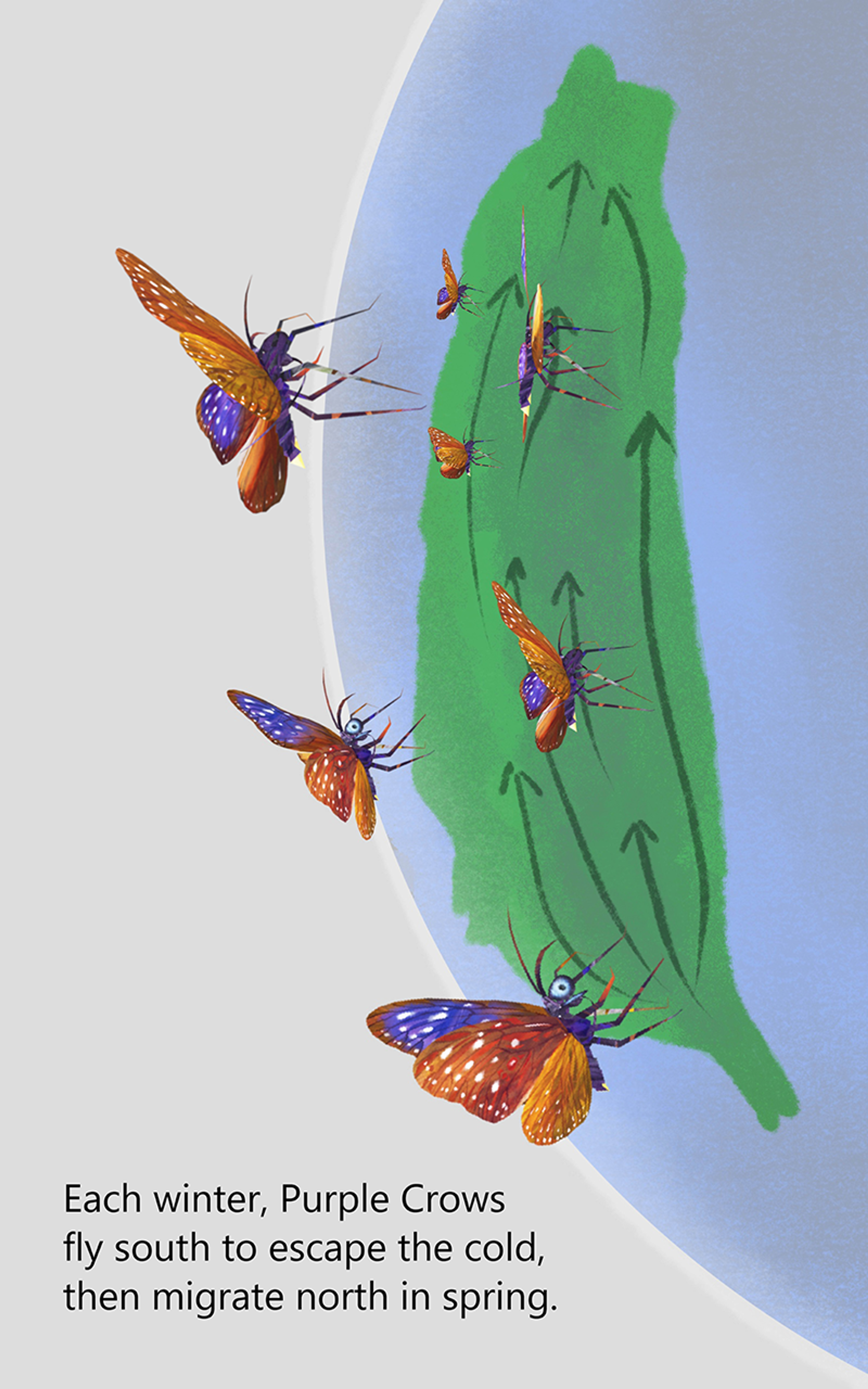 the-butterfly-hunter-108