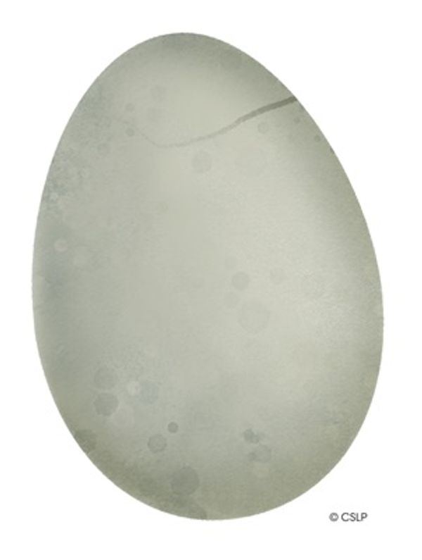 Dino Egg