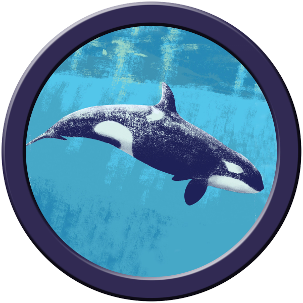 Zach Lehner Orca