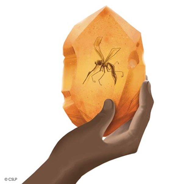 Mosquito in Amber