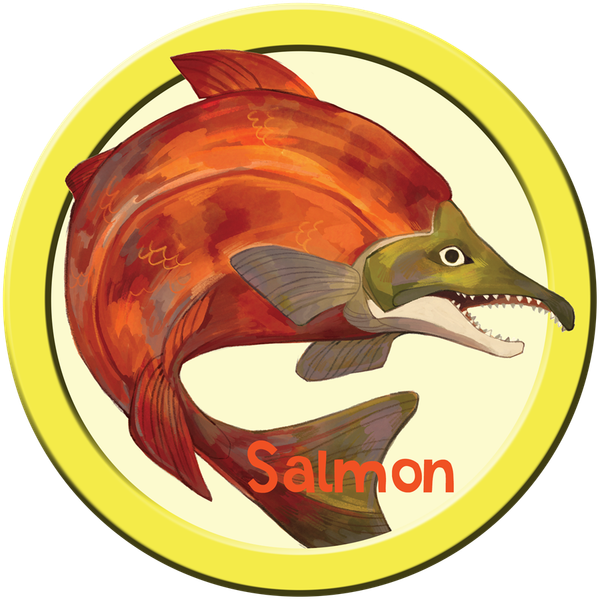 Zoe Persico Salmon